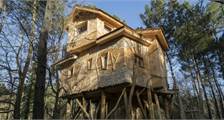 Tree House BD401 at Center Parcs Le Bois aux Daims