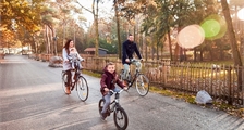 Gazelle bikes at Center Parcs Erperheide