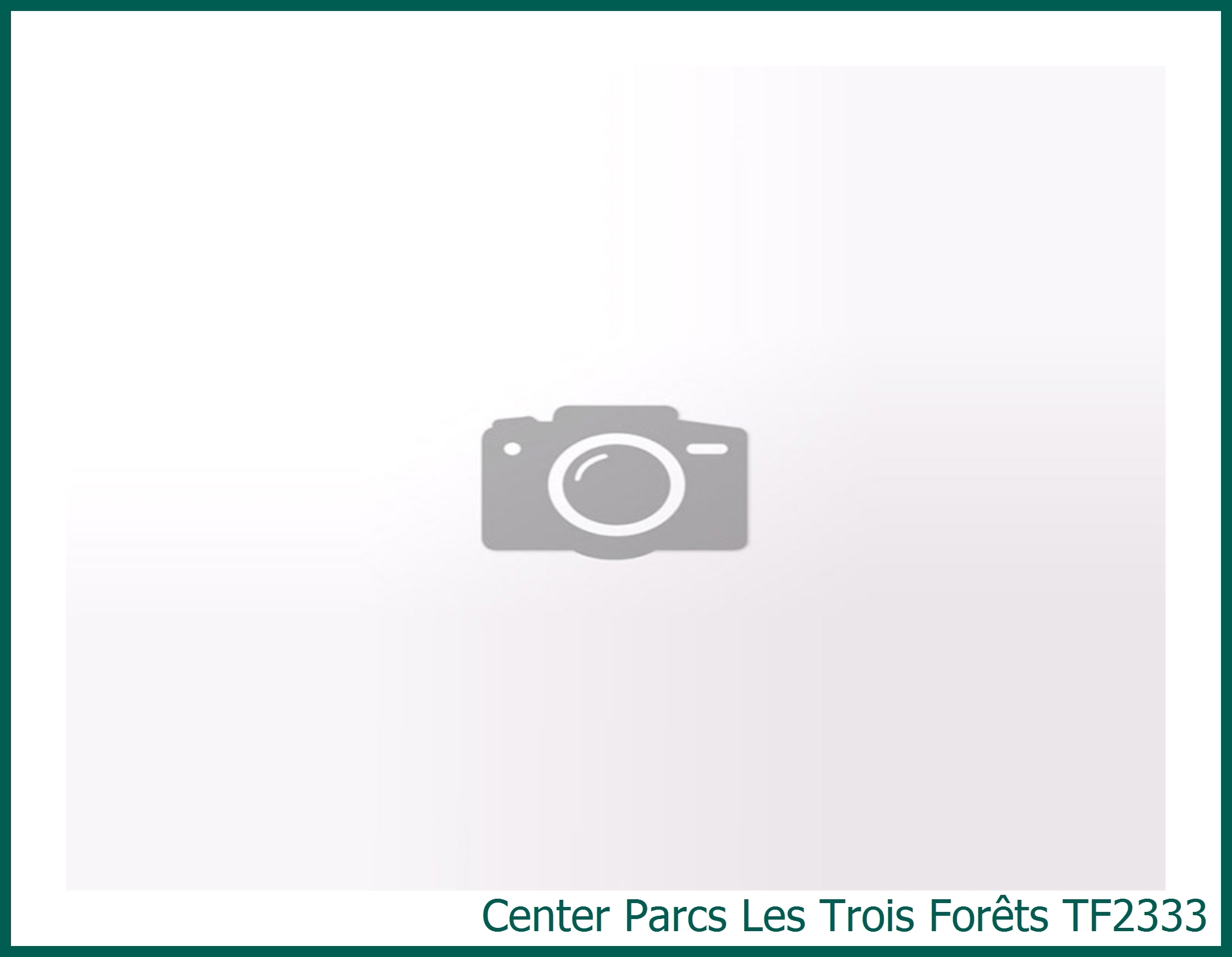 VIP cottage  Renewed TF2333 at Les Trois Forêts