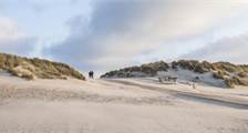 Surroundings activities at Landal Ameland State