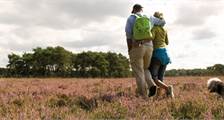Hiking and cycling Facilities at Landal De Hellendoornse Berg