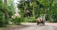 Surroundings activities at Landal Het Land van Bartje
