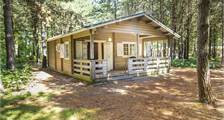 Chalet Forest lodge at RCN De Flaasbloem